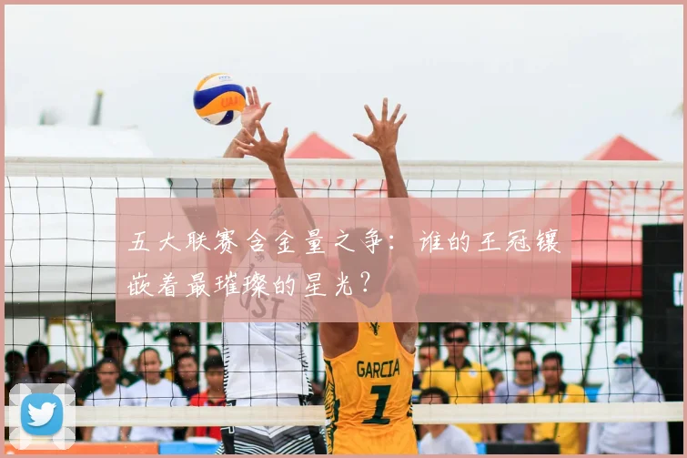 五大联赛含金量之争：谁的王冠镶嵌着最璀璨的星光？