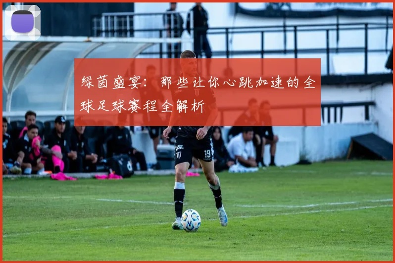 绿茵盛宴：那些让你心跳加速的全球足球赛程全解析